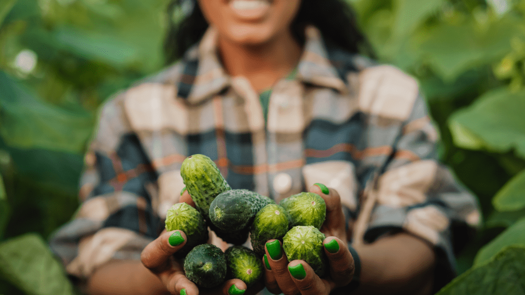 The Future of Agriculture in&nbsp;Africa