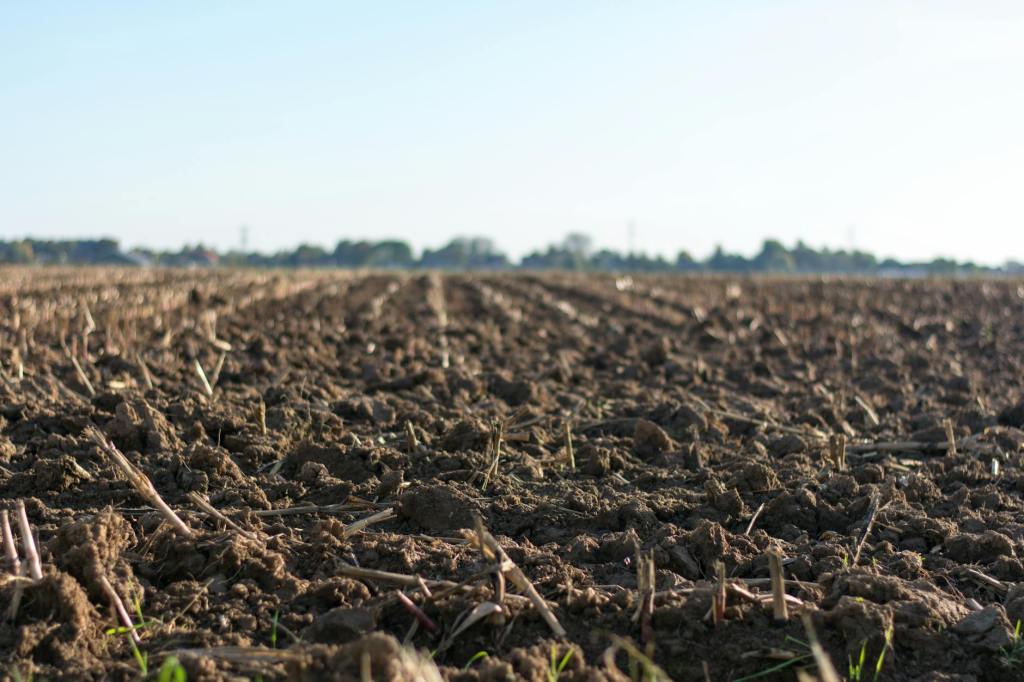 10 Ways to Boost Soil Health & Crop Yields with Sustainable&nbsp;Farming