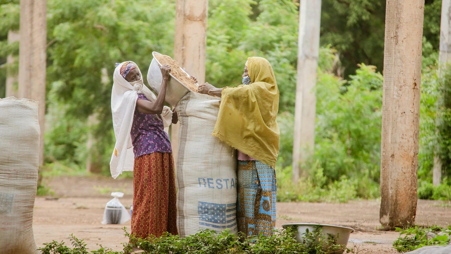 Women farmers in Ghana thriving with inclusive agricultural investment policies